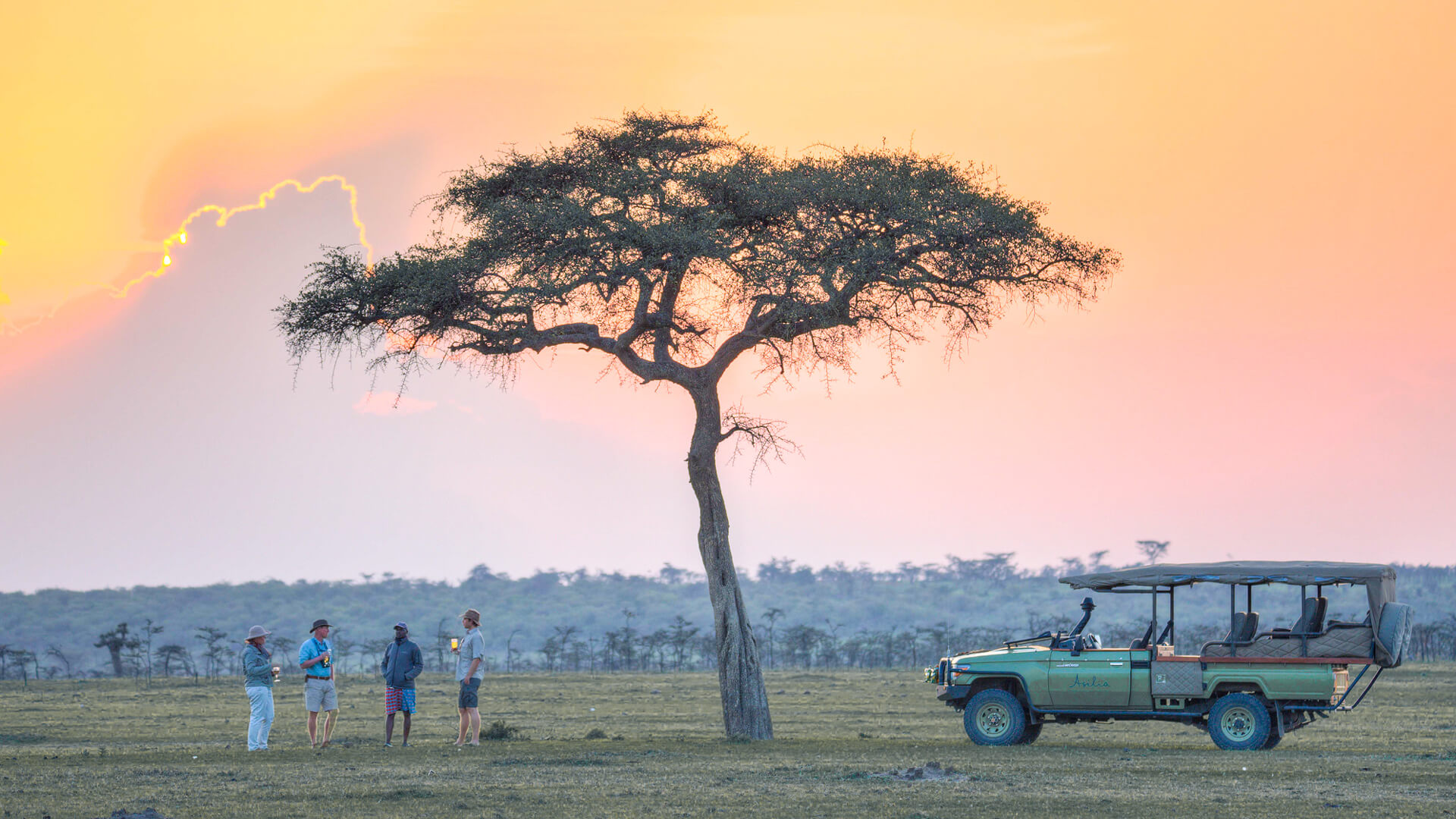 A lion resting in the golden savannah of the Masai Mara